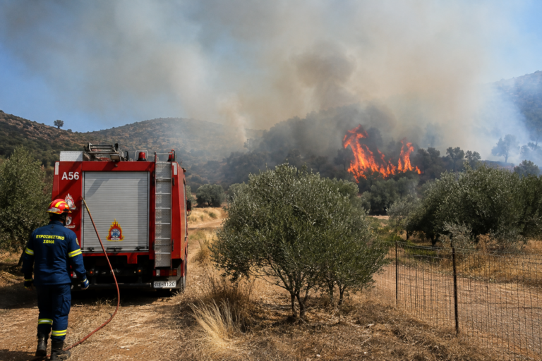 Αργολίδα: Από αγροτικές εργασίες με καταστροφέα φέρεται να ξεκίνησε η μεγάλη πυρκαγιά