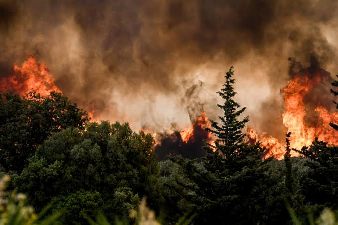 Τρεις πυροσβέστες νεκροί και εκτεταμένες καταστροφές από τις πυρκαγιές
