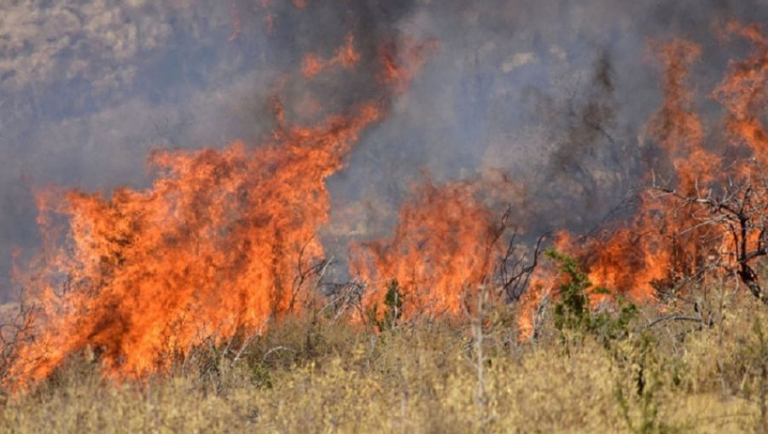 Οριοθετήθηκε η φωτιά στον Άγιο Βασίλειο Κορινθίας – Ισχυρή κινητοποίηση της Πυροσβεστικής